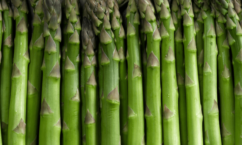 asparagi